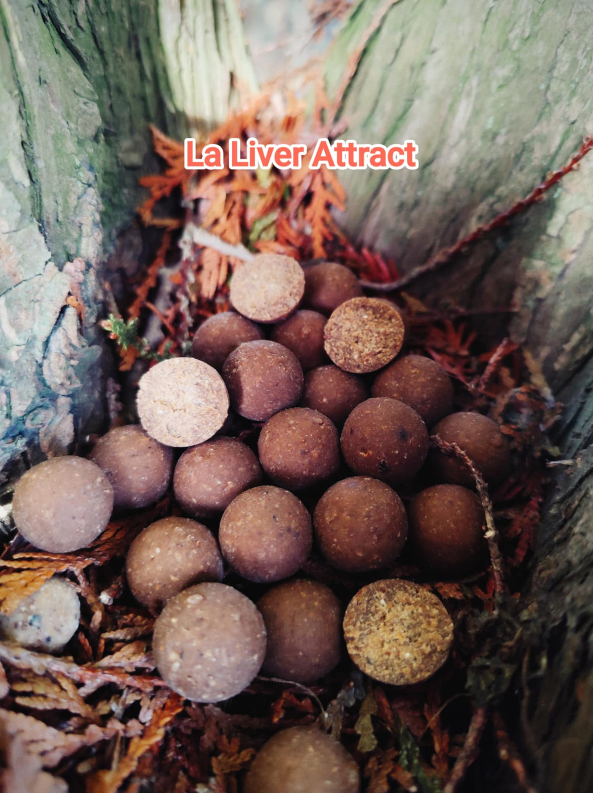 Bouillettes Liver Attract