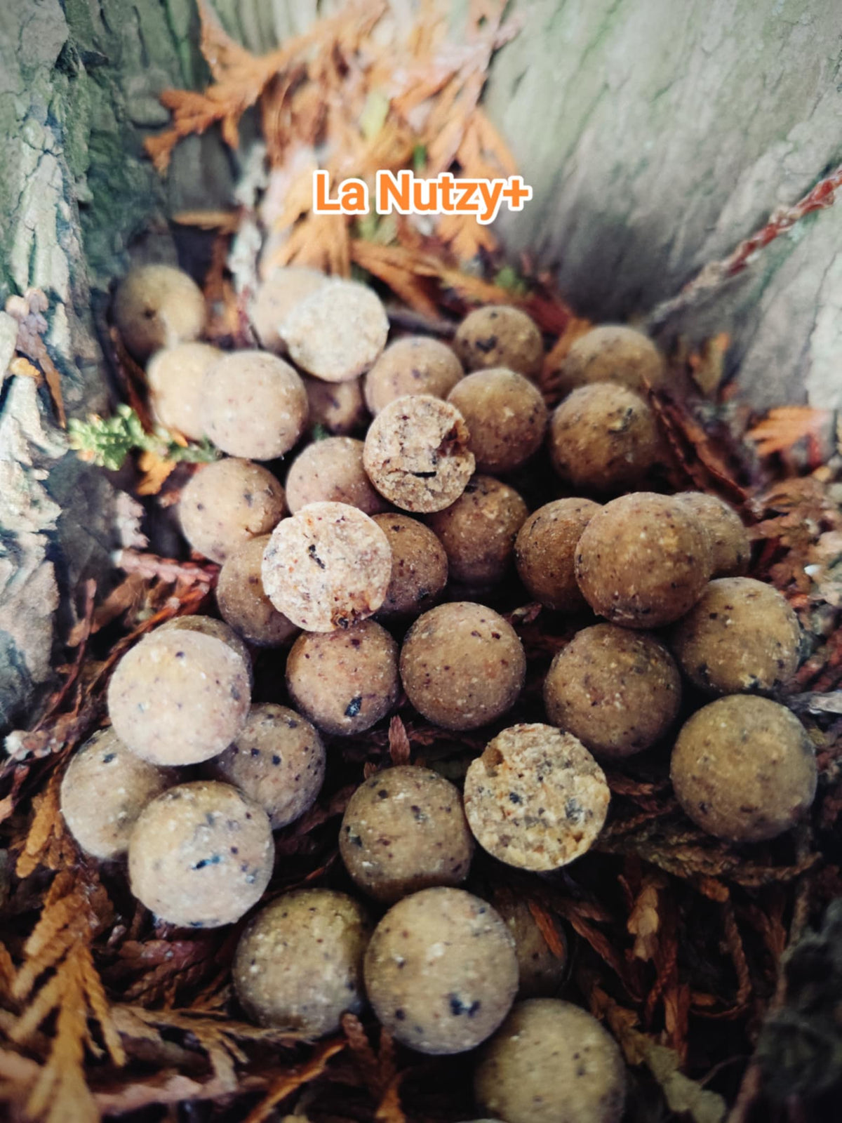 Bouillettes Nutzy+